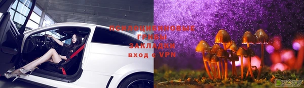 стафф Медногорск