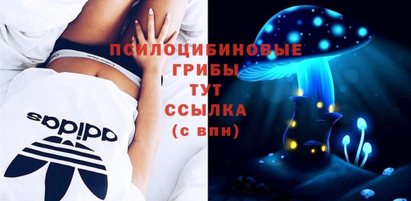 сатива Медвежьегорск