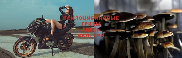 эйфоретик Беломорск